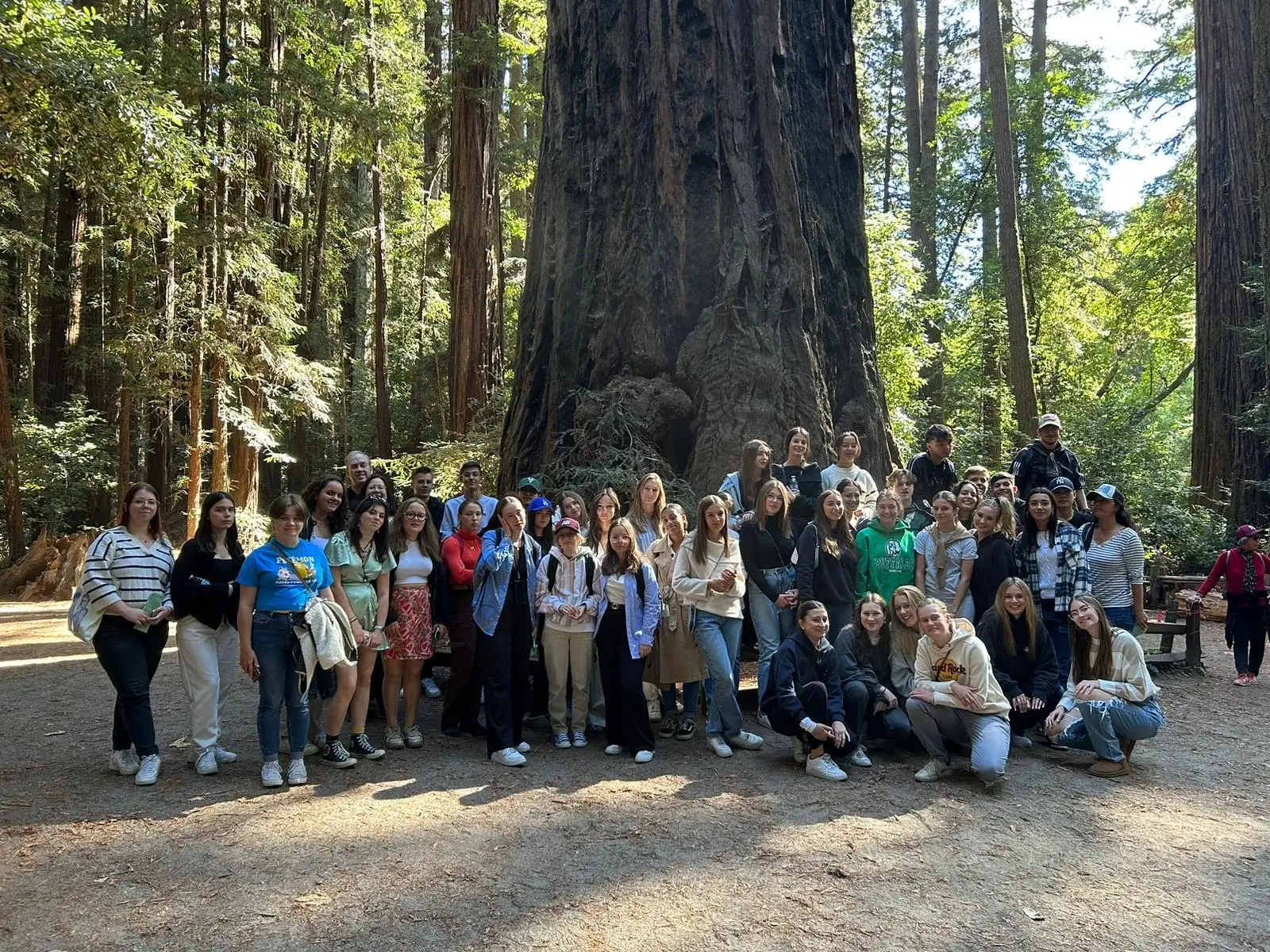 Group Homestay Specialized Programs students visiting a redwood forest during a cultural exchange trip in California